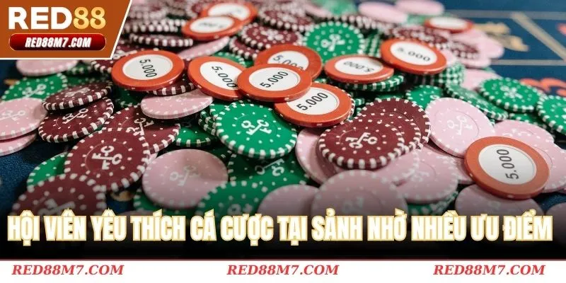 Hội viên yêu thích cá cược tại sảnh nhờ nhiều ưu điểm 